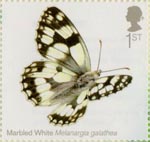 Butterflies 1st Stamp (2013) Marbled White