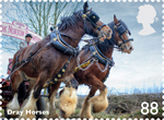 Working Horses 88p Stamp (2014) Dray Horses