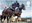 88p, Dray Horses from Working Horses (2014)