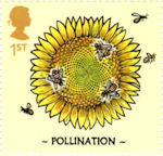 1st, Pollination from Bees (2015)