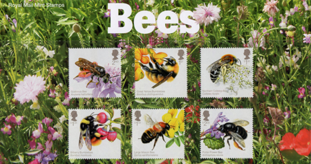 Bees 2015
