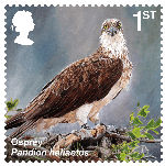 Reintroduced Species 1st Stamp (2018) Osprey
