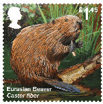 £1.45, Eurasian Beaver from Reintroduced Species (2018)