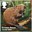 £1.45, Eurasian Beaver from Reintroduced Species (2018)