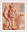 1st, England 1st from New Country Definitives (2018)