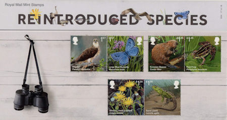 Presentation Pack from Collect GB Stamps