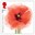 1st, 100 Poppies, Z and B Baran from The First World War - 1918 (2018) 1st, 100 Poppies, Z and B Baran from The First World War - 1918 (2018)