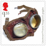 £1.55, Lieutenant Francis Hopgood's goggles from The First World War - 1918 (2018)