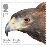 Birds of Prey 1st Stamp (2019) Golden Eagle