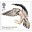 1st, Peregrine Falcon from Birds of Prey (2019)