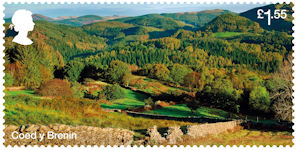 Forests £1.55 Stamp (2019) Coed y Brenin