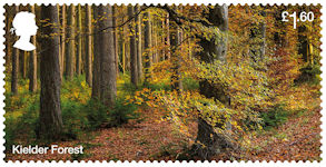 Forests £1.60 Stamp (2019) Kielder Forest