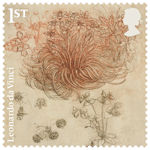 Leonardo da Vinci 1st Stamp (2019) A Star-of-Bethlehem and other plants
