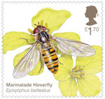 Brilliant Bugs £1.70 Stamp (2020) Marmalade Hoverfly (Episyrphus balteatus)