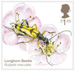 Brilliant Bugs £1.45 Stamp (2020) Longhorn Beetle (Rutpela maculata)