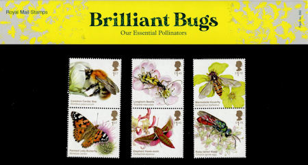 Presentation Pack from Collect GB Stamps