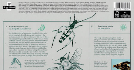 Brilliant Bugs 2020