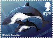 Wild Coasts £1.70 Stamp (2021) Harbour Porpoise