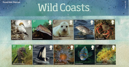 Wild Coasts - (2021) Wild Coasts