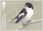 Migratory Birds 1st Stamp (2022) Pied Flycatcher, Ficedula hypoleuca