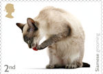 Cats 2nd Stamp (2022) Siamese grooming