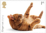 Cats 1st Stamp (2022) Ginger cat playing