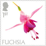 Flowers 1st Stamp (2023) Fuchsia