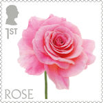 Flowers 1st Stamp (2023) Rose
