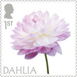 Flowers 1st Stamp (2023) Dahlia