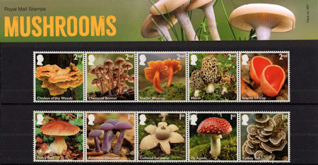 Presentation Pack from Collect GB Stamps