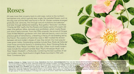 Roses - (2026) Roses