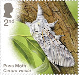 Moths 2nd Stamp (2026) Puss Moth (Cerura vinula)