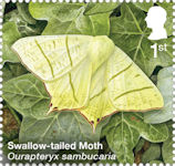 Moths 1st Stamp (2026) Swallow-tailed Moth (Ourapteryx sambucaria)