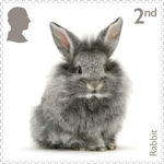 Pets 2nd Stamp (2026) Rabbit