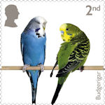 Pets 2nd Stamp (2026) Budgerigar