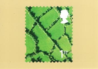 D19 (b)