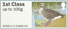Post & Go - Birds of Britain III 1st Stamp (2011) Greylag Goose