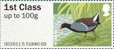 Post & Go - Birds of Britain III 1st Stamp (2011) Moorhen