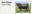 1st, Aberdeen Angus from Post & Go - British Farm Animals III - Cattle (2012)