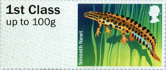 Post & Go: Ponds - Freshwater Life 1 1st Stamp (2013) Smooth Newt