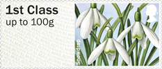 Post & Go: Spring Blooms - British Flora 1 1st Stamp (2014) Snowdrop