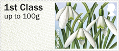 1st, Snowdrop from Post & Go: Spring Blooms - British Flora 1 (2014)