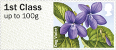 1st, Dog Violet from Post & Go: Spring Blooms - British Flora 1 (2014)