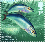 Sustainable Fish 1st Stamp (2014) Herring