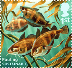 Sustainable Fish 1st Stamp (2014) Pouting