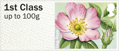 Post & Go: Symbolic Flowers - British Flora 2 2014