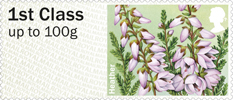 Post & Go: Symbolic Flowers - British Flora 2 1st Stamp (2014) Heather