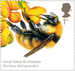 Bees 1st Stamp (2015) Great Yellow Bumblebee (Bombus distinguendus)