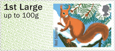 1st, Red Squirrel from Post & Go : Winter Fur & Feathers (2015)