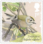 Songbirds 1st Stamp (2017) Goldcrest